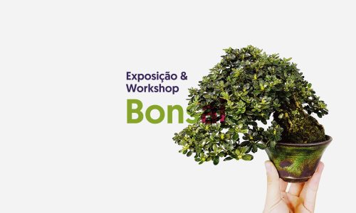 banner site_Bonsai
