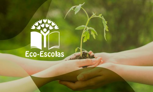 banner_ecoescolas-1