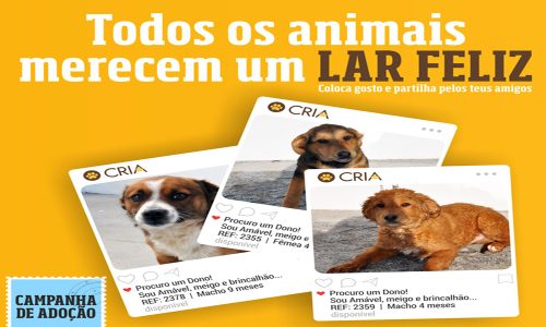 camaramunicipalestaalevarac