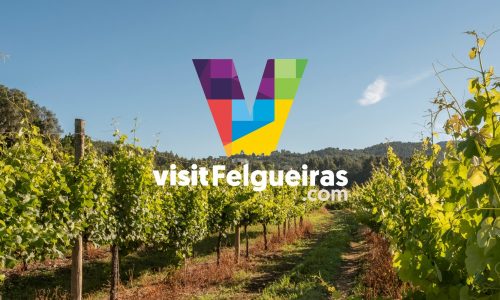 visitFelgueiras