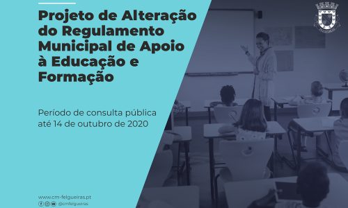 consulta-pública_educação_formação_w