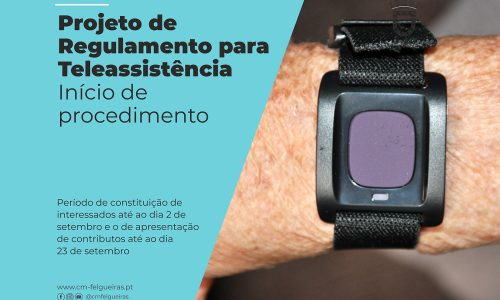 consultas-públicas_teleassistência