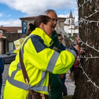 Felgueiras cuida e protege as diferentes espécies de plantas