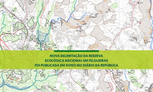 Reserva Ecológica Nacional de Felgueiras