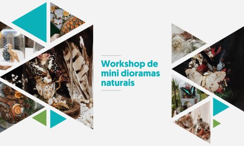 workshop de mini dioramas naturais