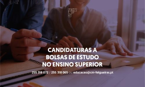 site_bolsas de estudo (1)